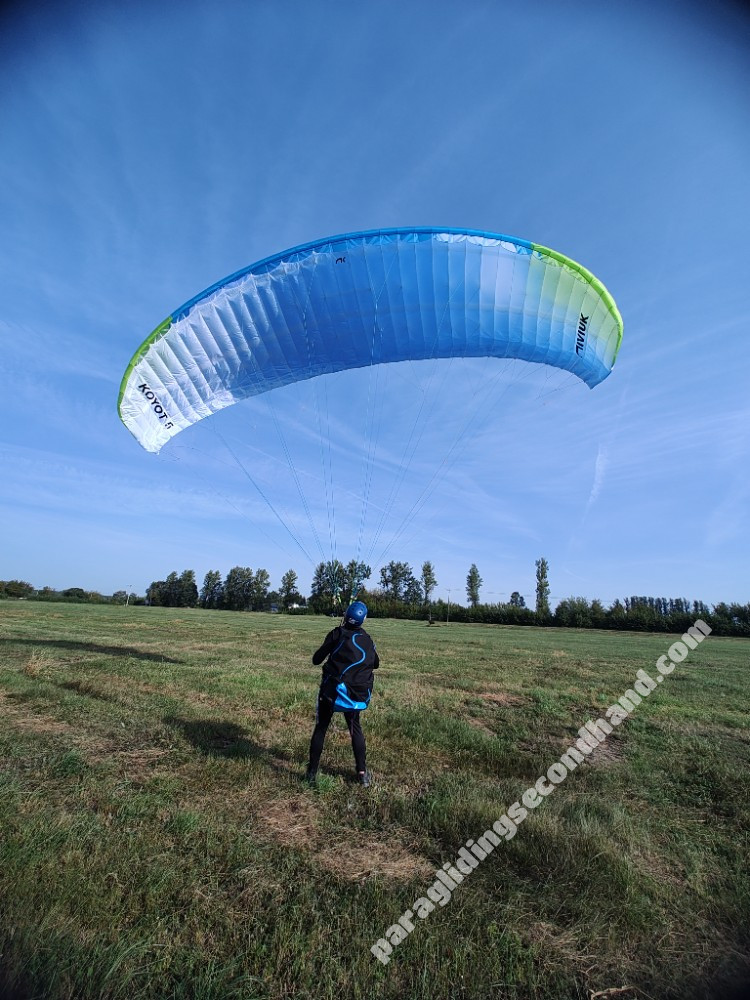 Niviuk Koyot 5, 26, 2025, (75-95kg), 15h