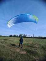 Niviuk Koyot 5, 26, 2025, (75-95kg), 15h