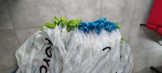 Niviuk Koyot 5, 26, 2025, (75-95kg), 15h