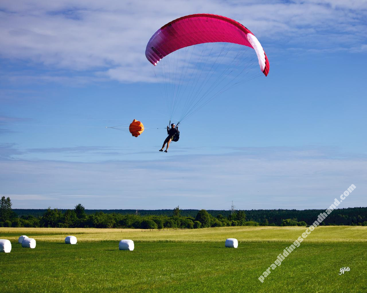 Niviuk Koyot 5, 28, 2025, (90-115kg), 30h