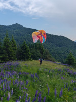 BGD EPIC2, Xs, 2024, (55-75kg), 35h