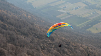 BGD Dual 2, 40, 2022, (110-210kg), 50h