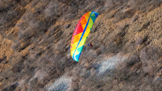 BGD Dual 2, 40, 2022, (110-210kg), 50h