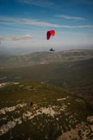 GIN Gliders Gin Avid, Xxs, 2025, (55-75kg), 40h