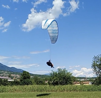 Apco Nestra Light, M, 2024, (76-96kg), 200h