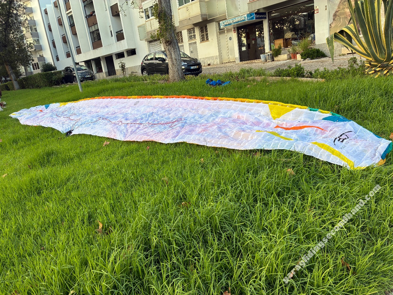 BGD Lynx2, L, 2024, (100-125kg), 32h