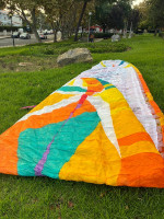 BGD Lynx2, L, 2024, (100-125kg), 32h