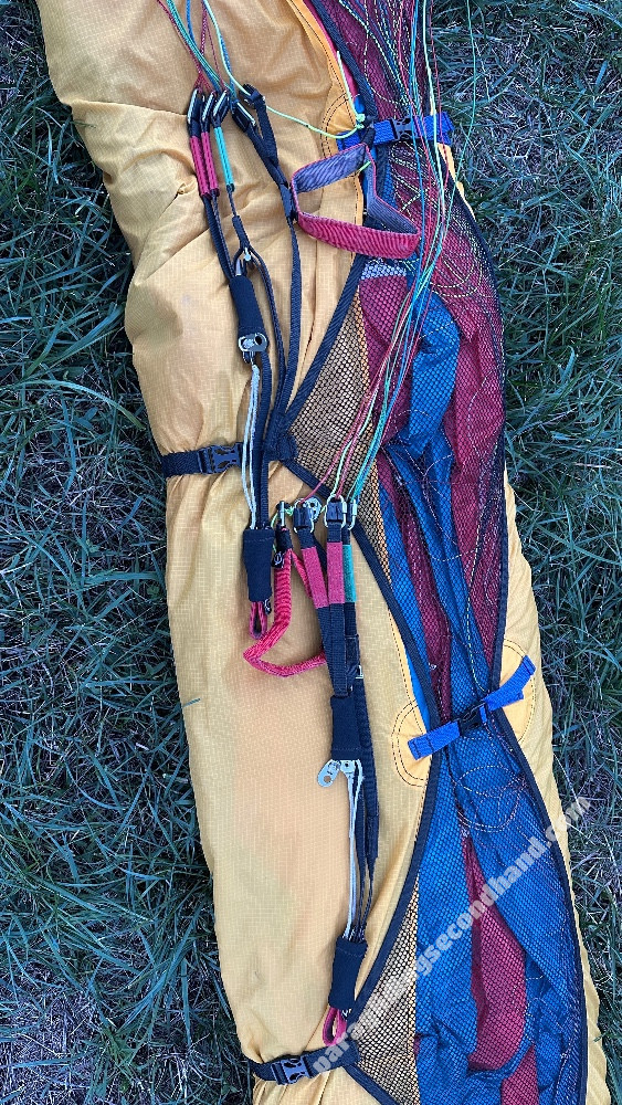 Phi Symphonia, 26, 2018, (105-130kg), 95h