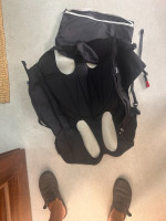 Flow PER  CANI, L, 2025