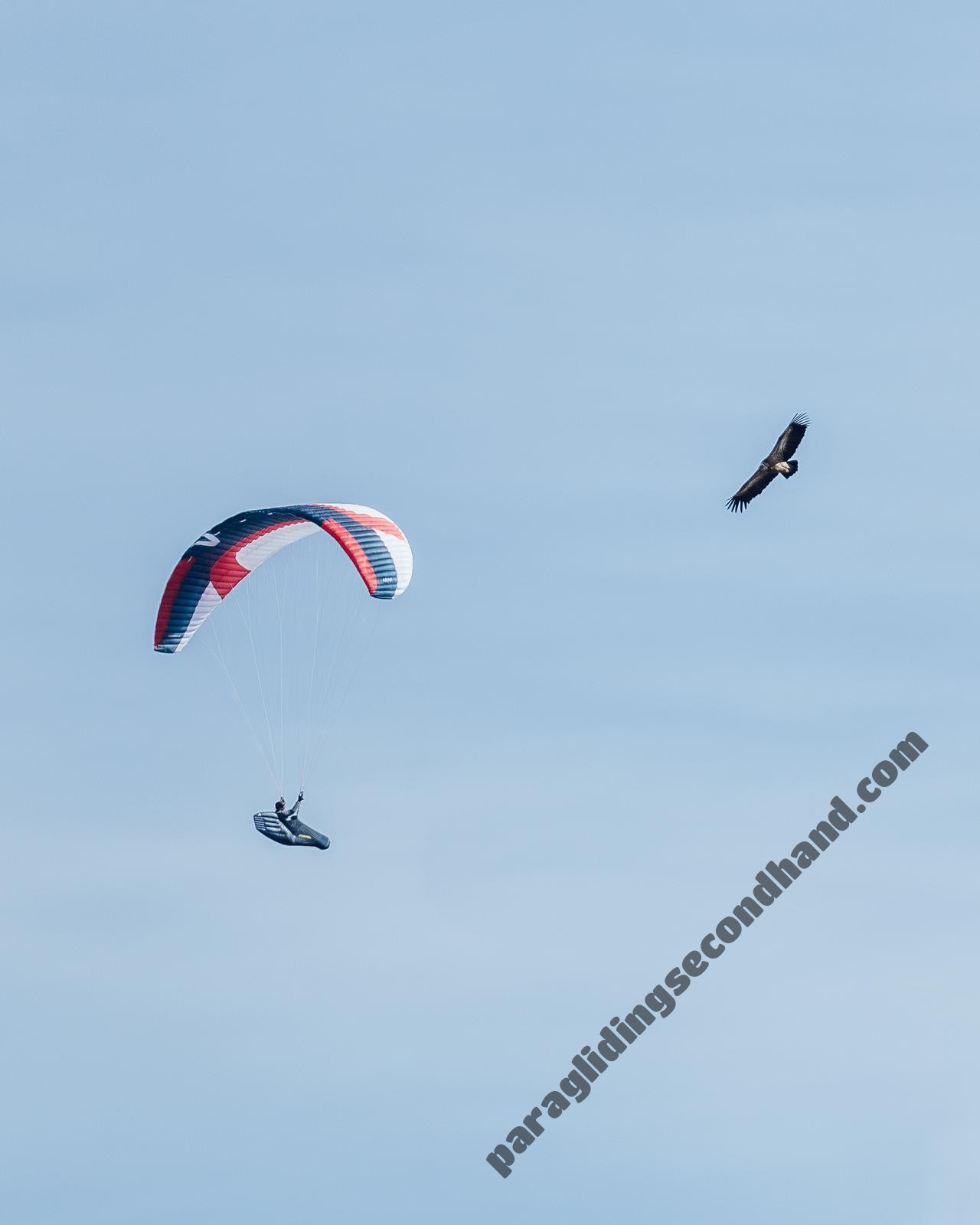 Skywalk ARAK2, 95, 2025, (75-95kg), 10h