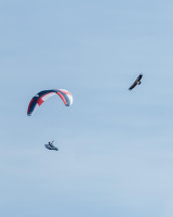 Skywalk ARAK2, 95, 2025, (75-95kg), 10h