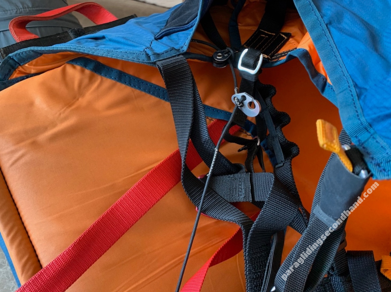 Woody Valley wani3, L, 2020