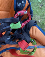 Woody Valley wani3, L, 2020