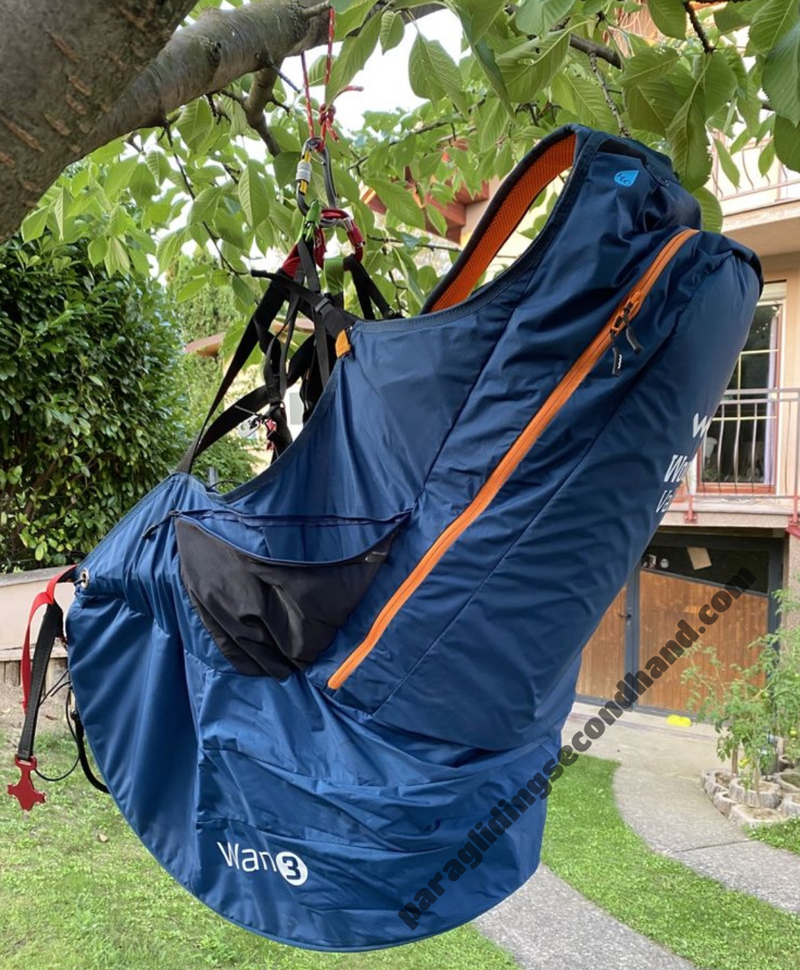 Woody Valley wani3, L, 2020