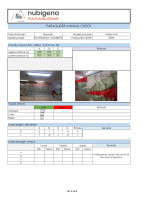 Skywalk Arriba 4, M, 2024, (85-105kg), 92h