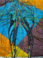 Icaro Xenus, 20, 2019, (65-85kg), 100h