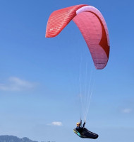 GIN Gliders Camino, M, 2021, (85-105kg), 150h