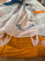 Advance PI 2 19, 19, 2020, (50-95kg), 50h