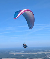 Swing Twin 5, 220kg, 2015, (140-220kg), 70h