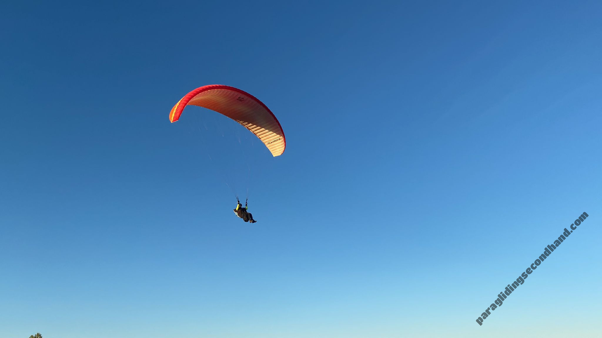 Ozone Buzz z6, S, 2020, (70-84kg), 50h