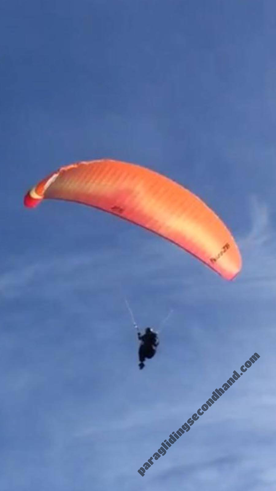 Ozone Buzz z6, S, 2020, (70-84kg), 50h