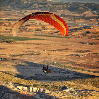 Ozone Buzz z6, S, 2020, (70-84kg), 50h