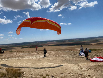 Ozone Buzz z6, S, 2020, (70-84kg), 50h