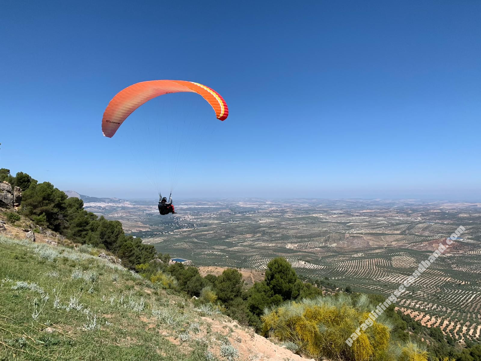 Ozone Buzz z6, S, 2020, (70-84kg), 50h