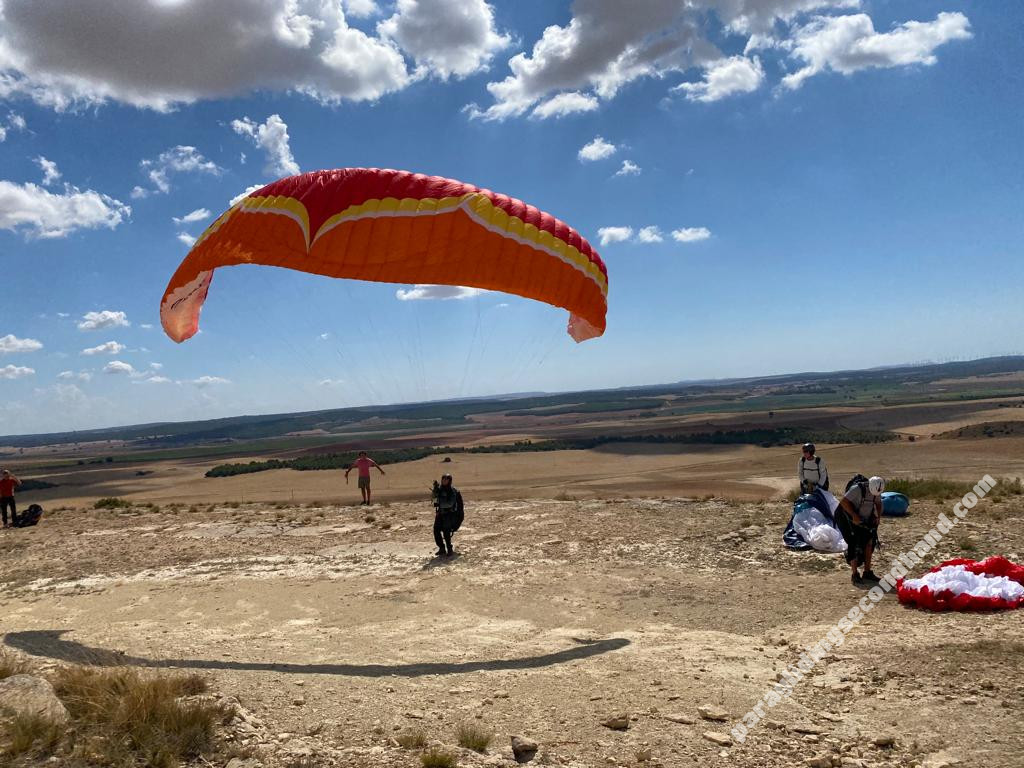 Ozone Buzz z6, S, 2020, (70-84kg), 50h