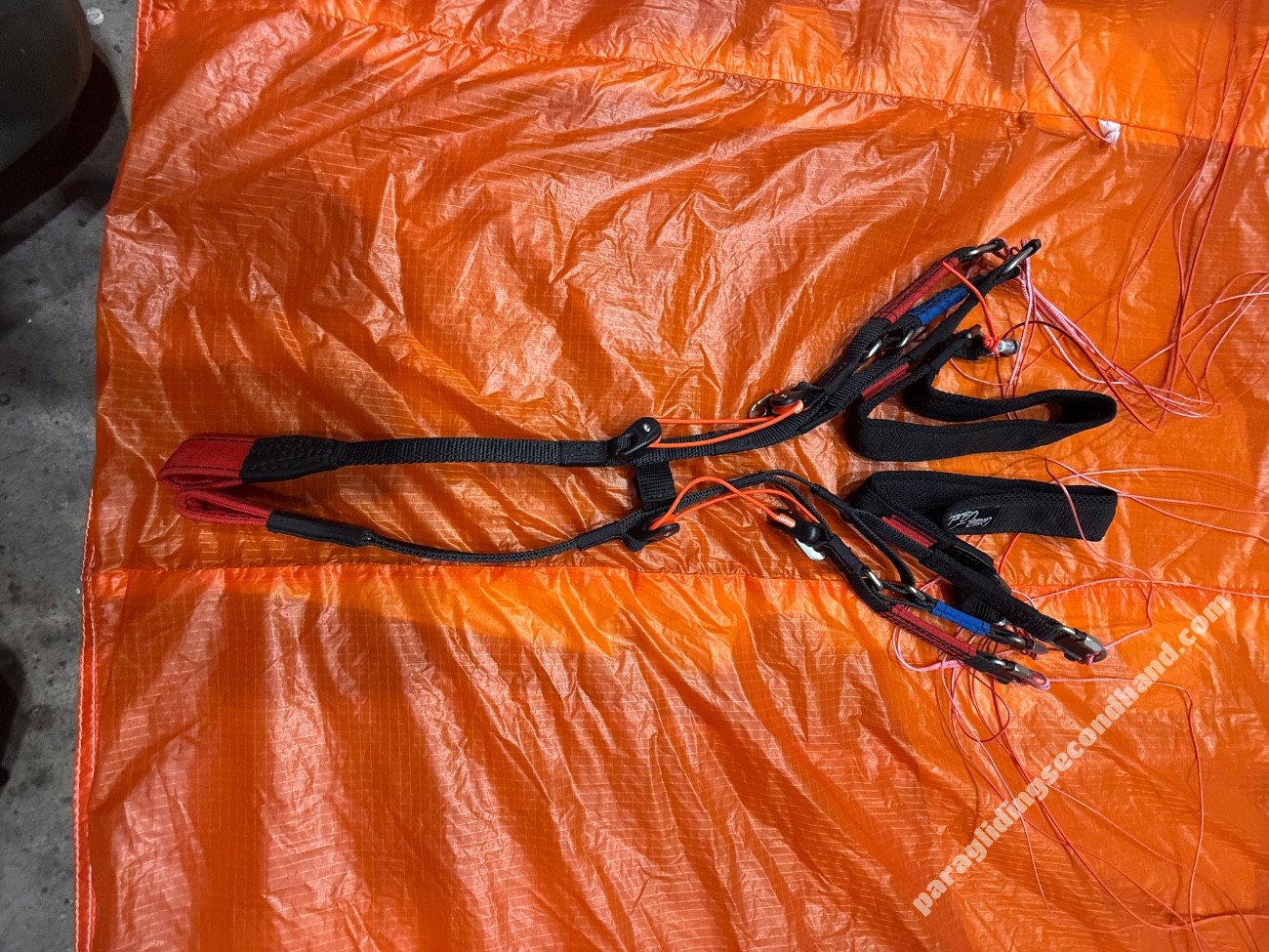 Little Cloud Kagoo2, 16, 2023, (60-120kg), 5h