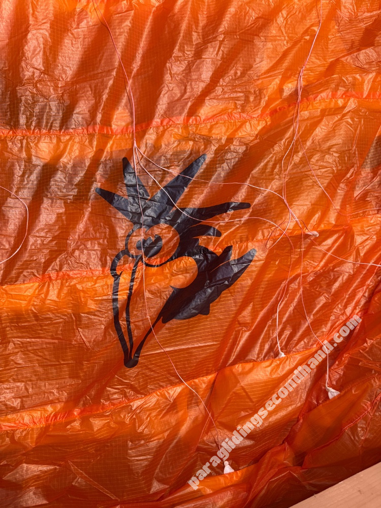 Little Cloud Kagoo2, 16, 2023, (60-120kg), 5h