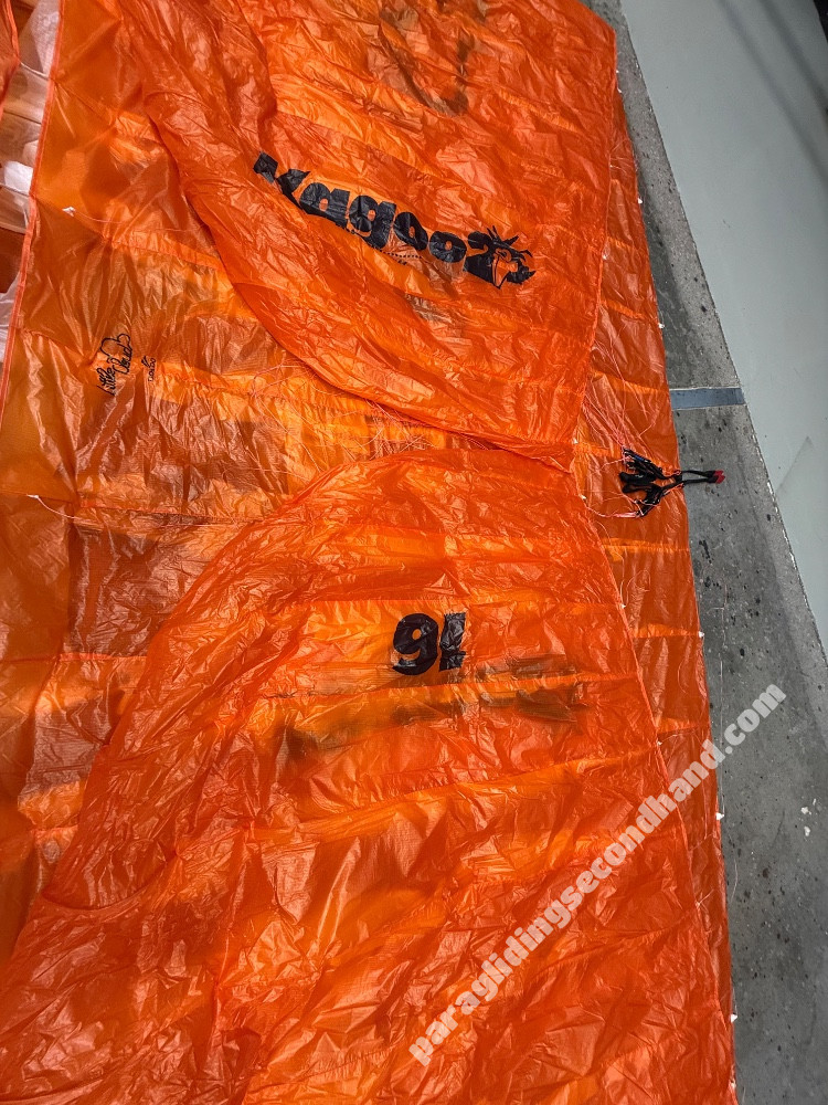 Little Cloud Kagoo2, 16, 2023, (60-120kg), 5h