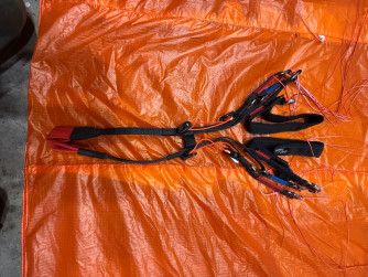 Little Cloud Kagoo2, 16, 2023, (60-120kg), 5h