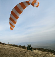 Phi Symphonia, 24, 2018, (85-110kg), 75h