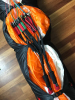 Phi Symphonia, 24, 2018, (85-110kg), 75h