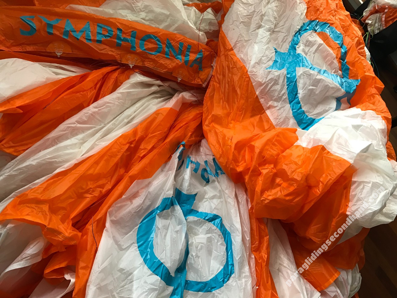 Phi Symphonia, 24, 2018, (85-110kg), 75h