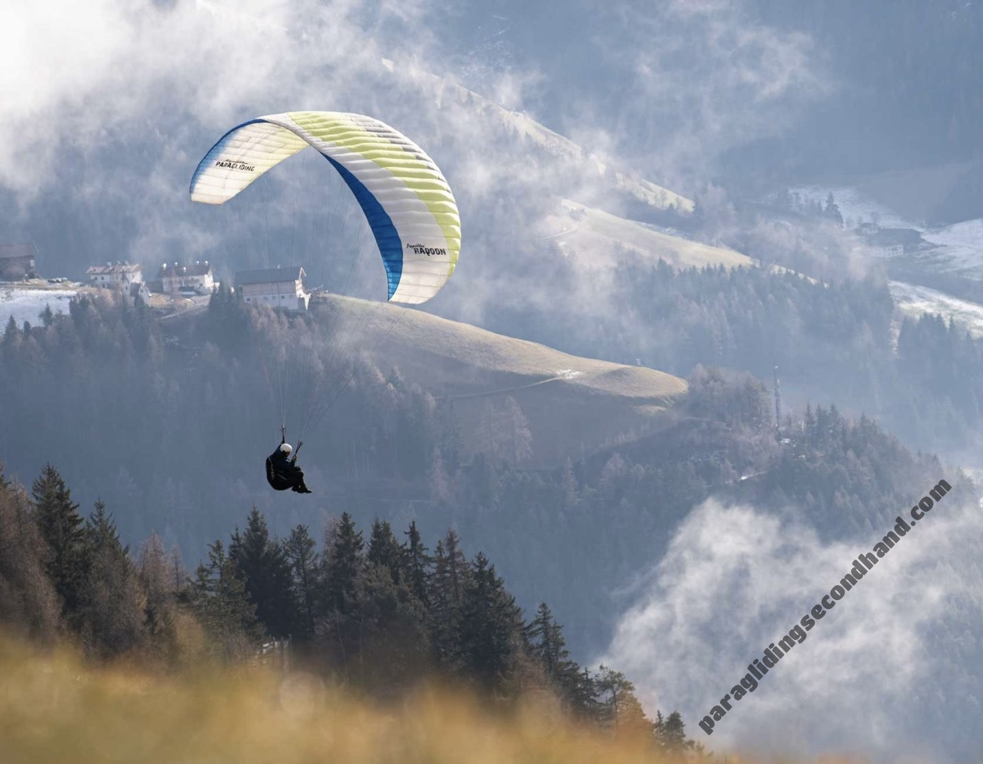 Papillon Raqoon, 85, 2025, (85-105kg), 0h