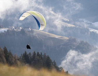 Papillon Raqoon, 85, 2025, (85-105kg), 0h