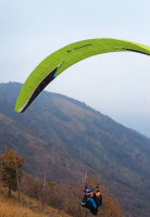 Niviuk artik 5, 26, 2019, (90-110kg), 185h