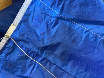 Phi Allegro, M, 2020, (83-103kg), 70h