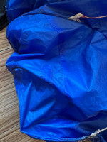 Phi Allegro, M, 2020, (83-103kg), 70h