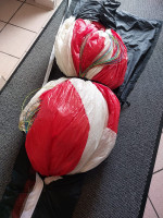 Papillon P42, 42, 2013, (140-230kg), 200h