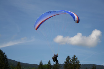 Swing sting 140, 25, 2013, (80-140kg), 25h