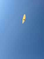 Niviuk Ikuma2, 24, 2022, (75-95kg), 280h