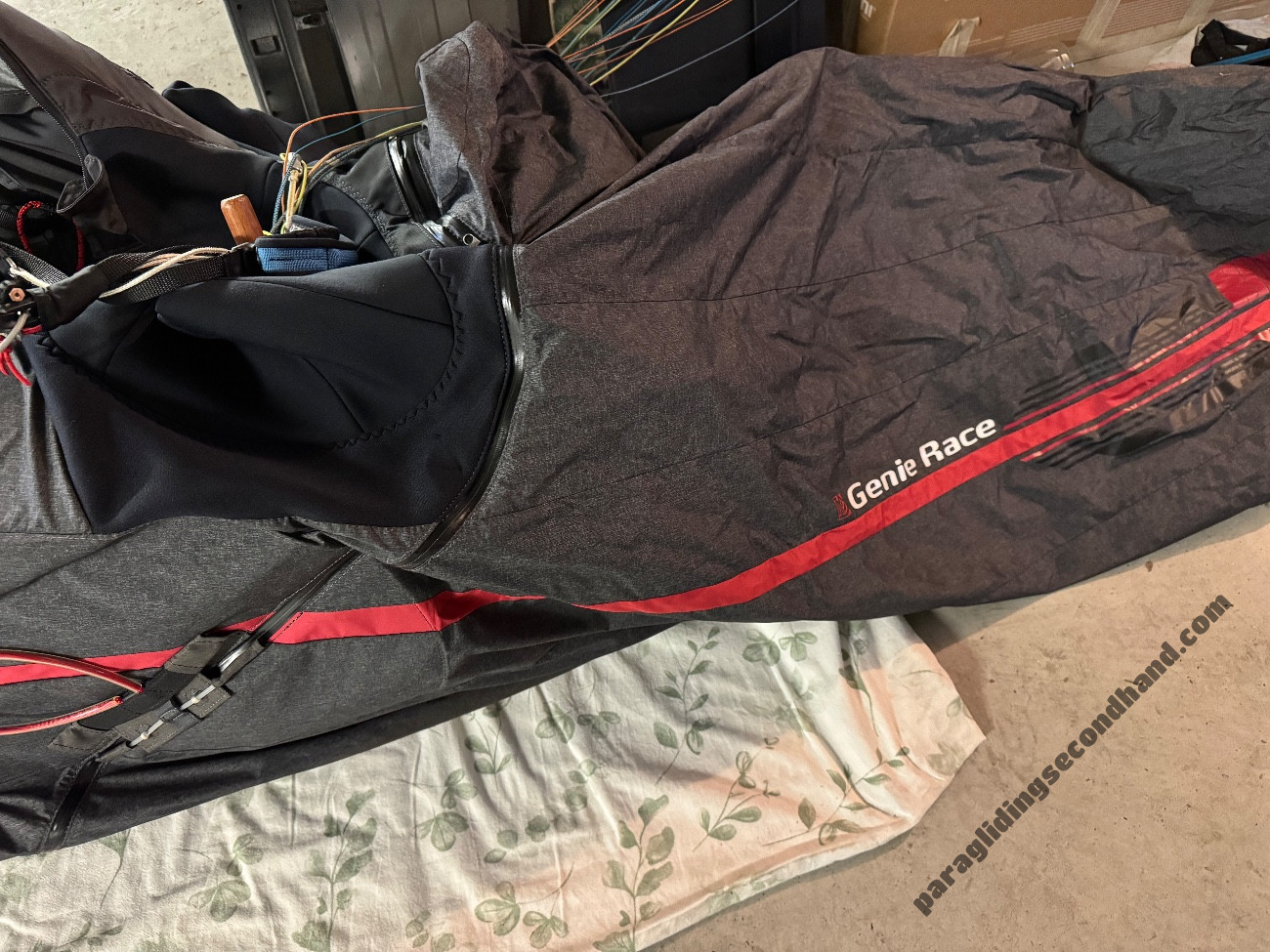 GIN Gliders Genie Race 5, L, 2024