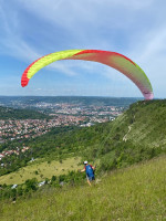 Drift Carancho, L, 2022, (93-116kg), 20h