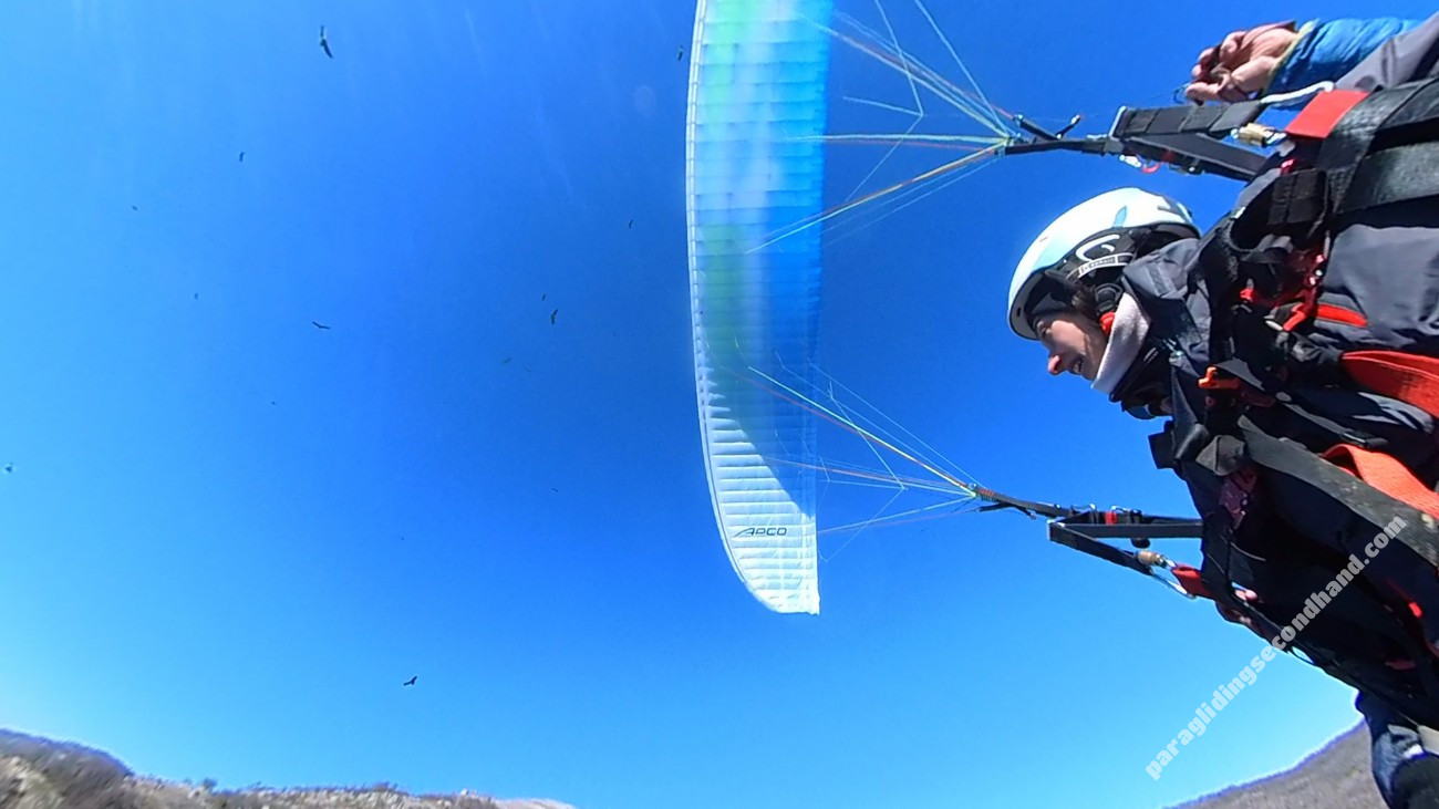 Apco GAME MKII, 42, 2024, (110-240kg), 50h