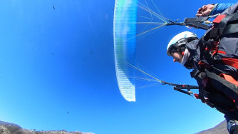 Apco GAME MKII, 42, 2024, (110-240kg), 50h