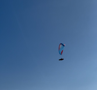 Advance Epsilon DLS, 24, 2024, (67-90kg), 40h