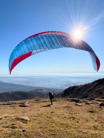 Advance Epsilon DLS, 24, 2024, (67-90kg), 40h